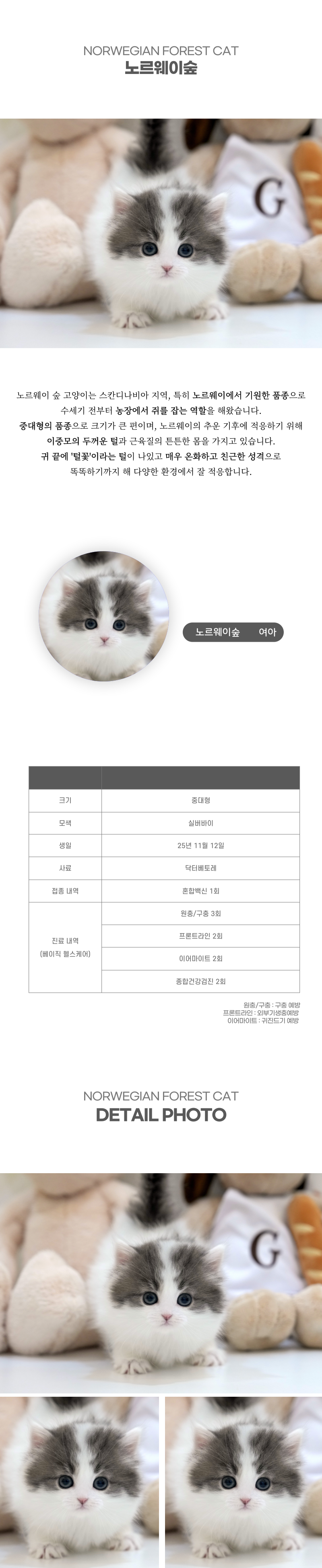 노르웨이숲_상세이미지_2